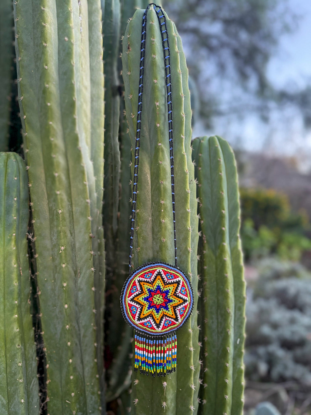 Hicuri Pouch Necklace - Huichol Arts
